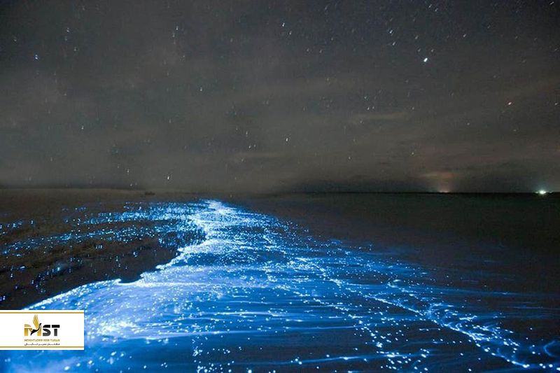 جزیرهی هنگام