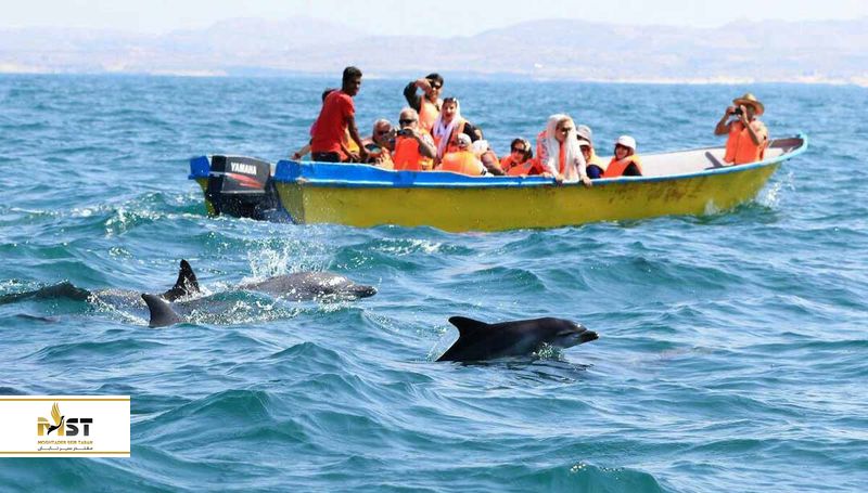 جزیرهی هنگام