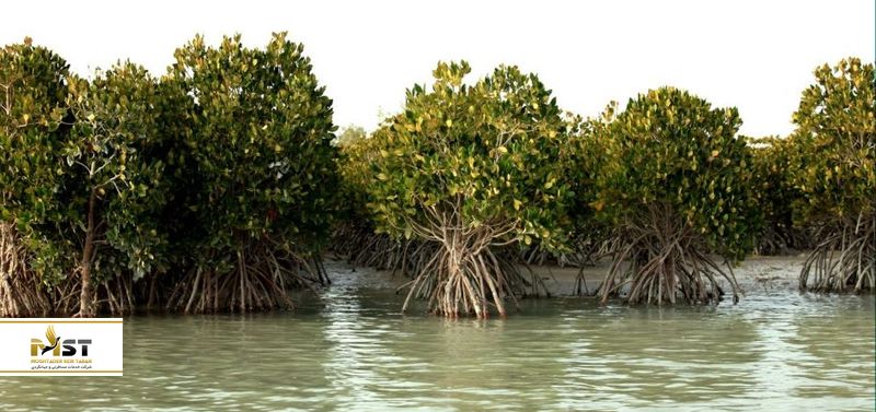 روستای لافت