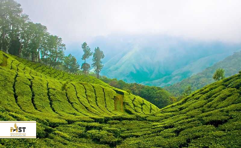 Munnar