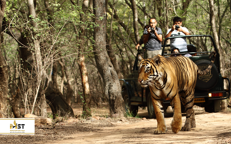 پارک ملی رانتامبور
