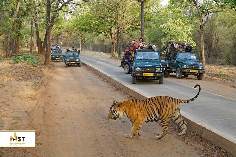 پارک ملی رانتامبور