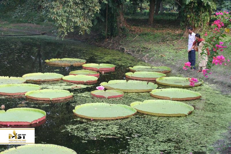 acharya-jagadish-chandra