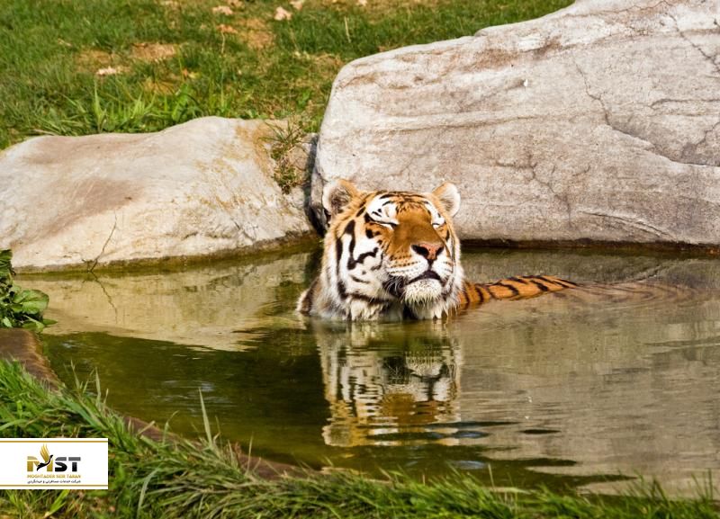 sunderbans-national-park