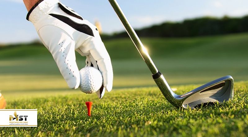 زمین&zwnj;های مثال&zwnj;زدنی دهلی