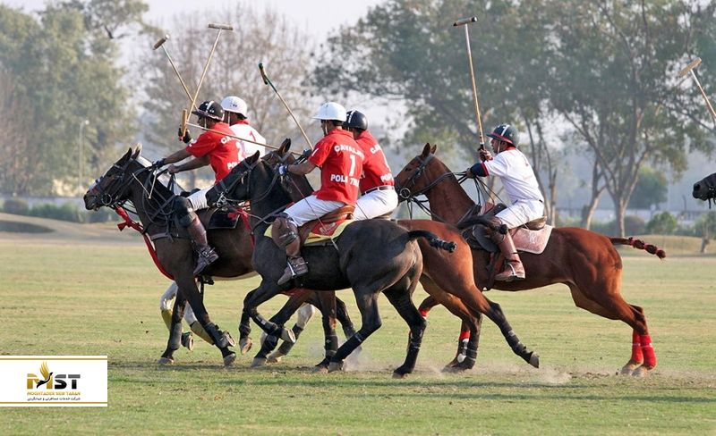  بازی چوگان در دهلی