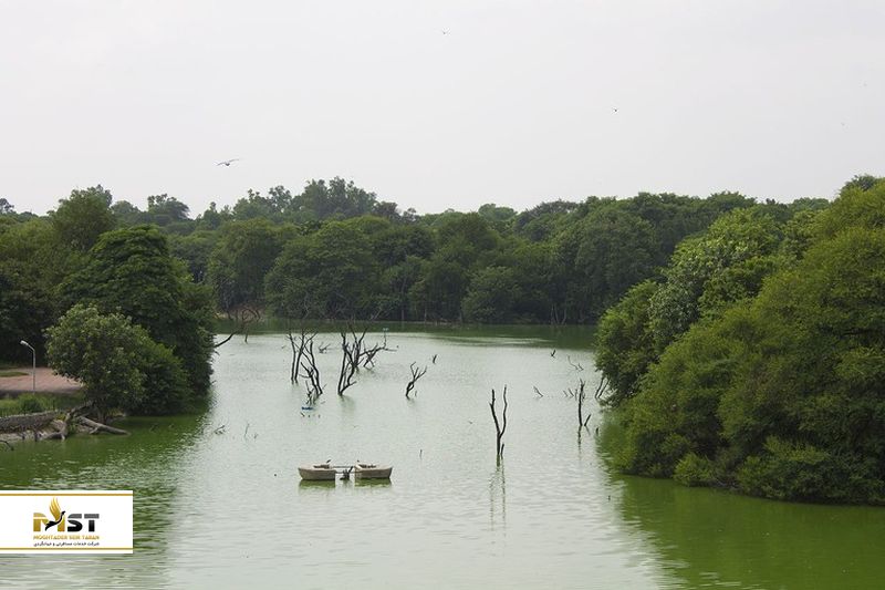 کافه رستوران Hauz Khas Social