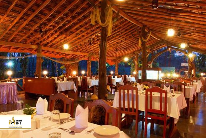 آبشار دودهساگار گوا