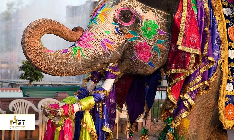 جشنواره فیلهای جیپور