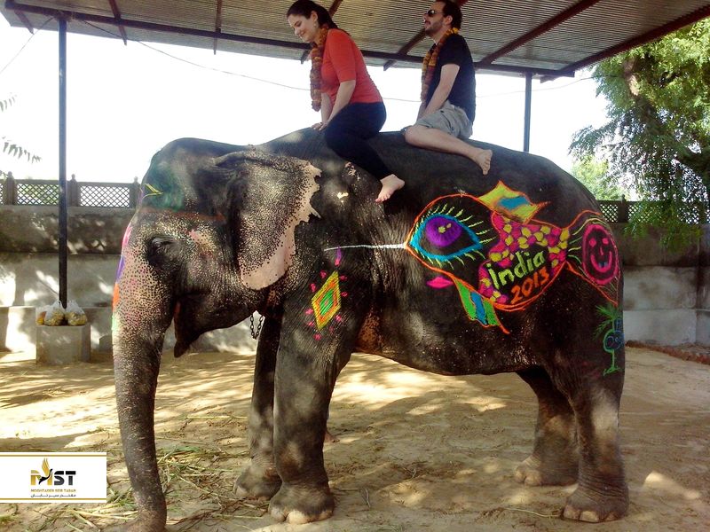 باغ وحش جیپور