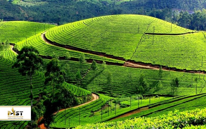  کلبه&zwnj;های کوچک اوتی