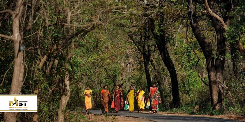 پارک ملی سانجای گاندی