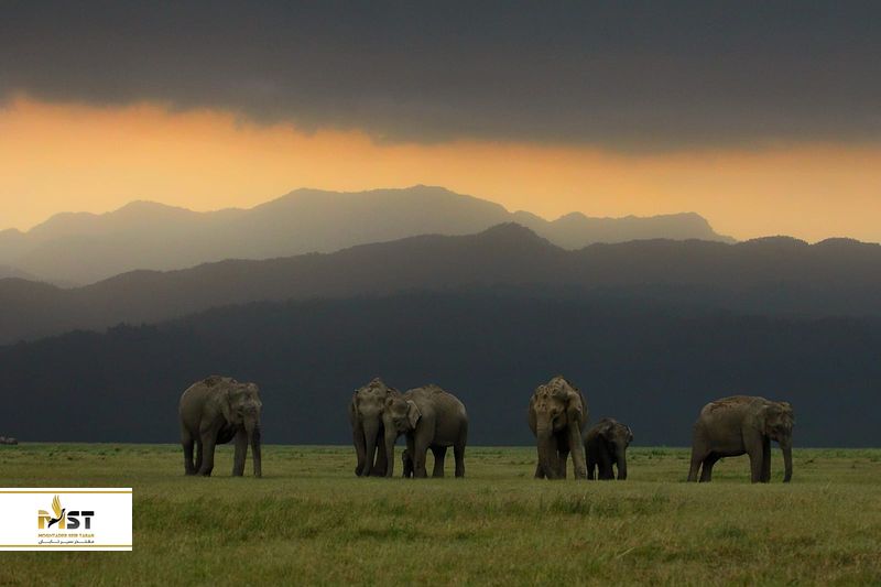 پارک ملی کوربت