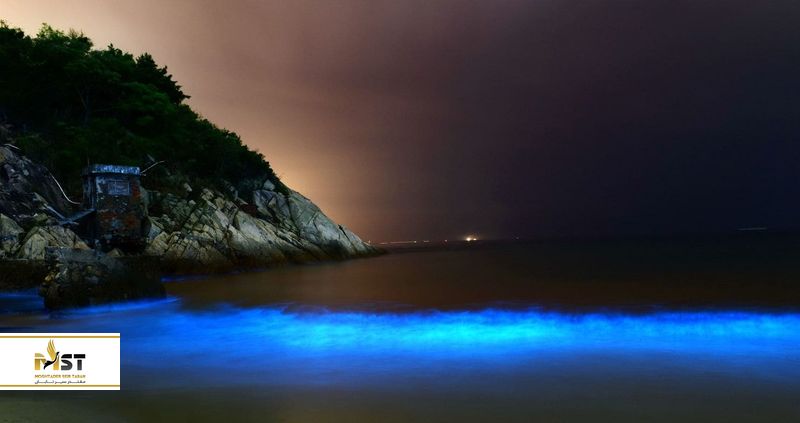 ساحل جوهو در بمبئی