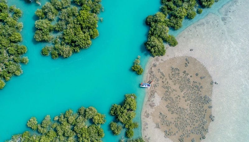 جنگل&zwnj;های حرا: طبیعت&zwnj;گردی در نزدیکی درگهان