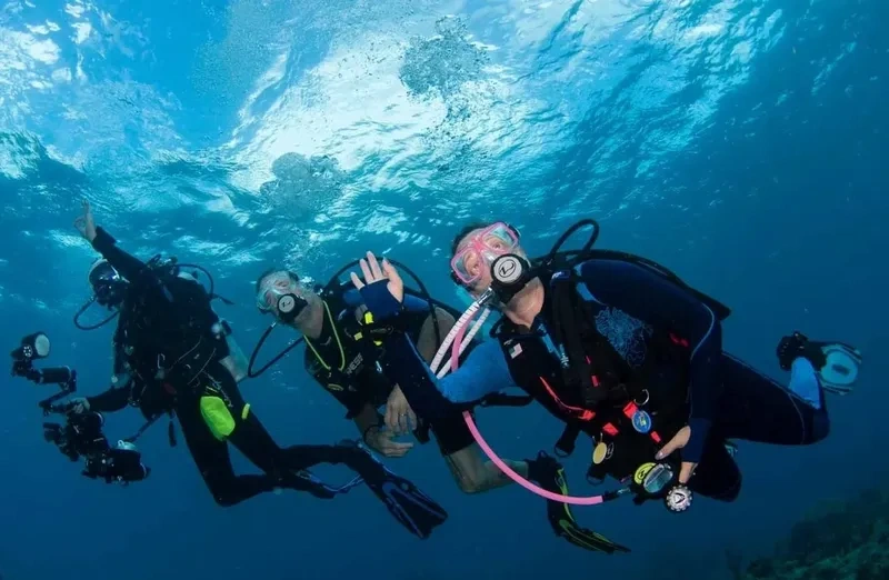 خلیج فارس یکی از بهترین مناطق منطقه و بدون شک بهترین جا در ایران برای غواصی است. آب&zwnj;های گرم و شفاف این منطقه میزبان تنوع بی&zwnj;نظیری از آبزیان و مرجان&zwnj;های رنگارنگ هستند. در جزیره کیش، مراکز متعددی برای آموزش غواصی وجود دارد