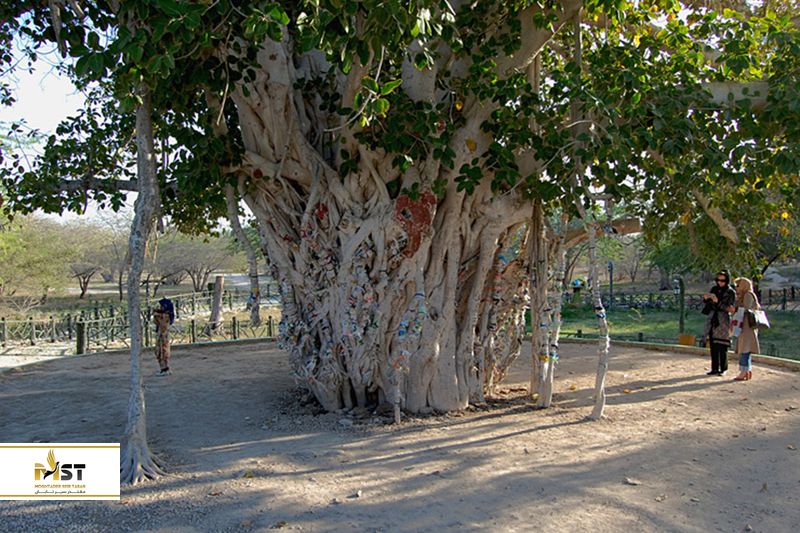 جزیره زیبای کیش