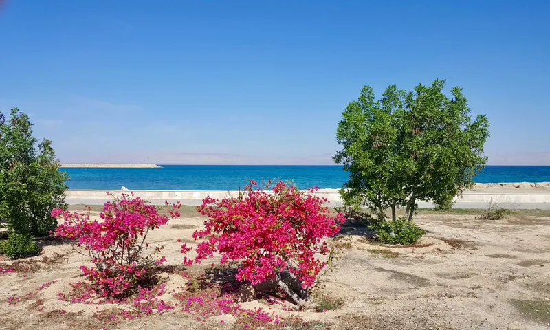 سفر به کیش در بهار