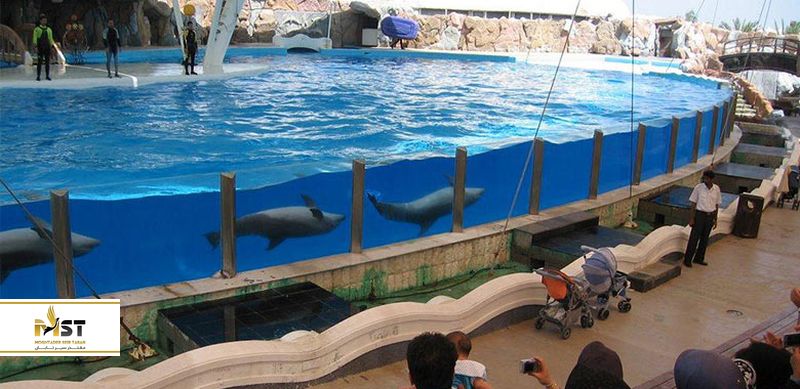 پارک دلفین کیش
