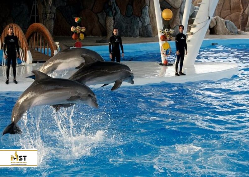 پارک دلفینهای کیش