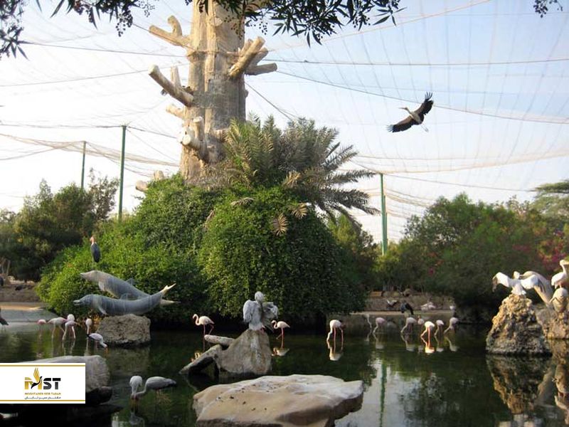 باغ پرندگان کیش