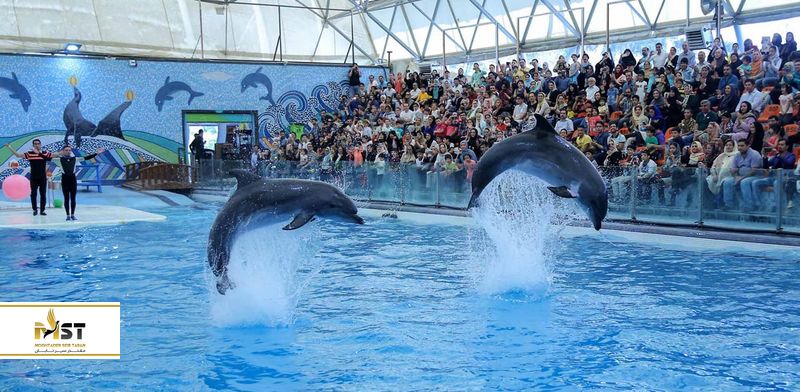 پارک دلفینهای کیش