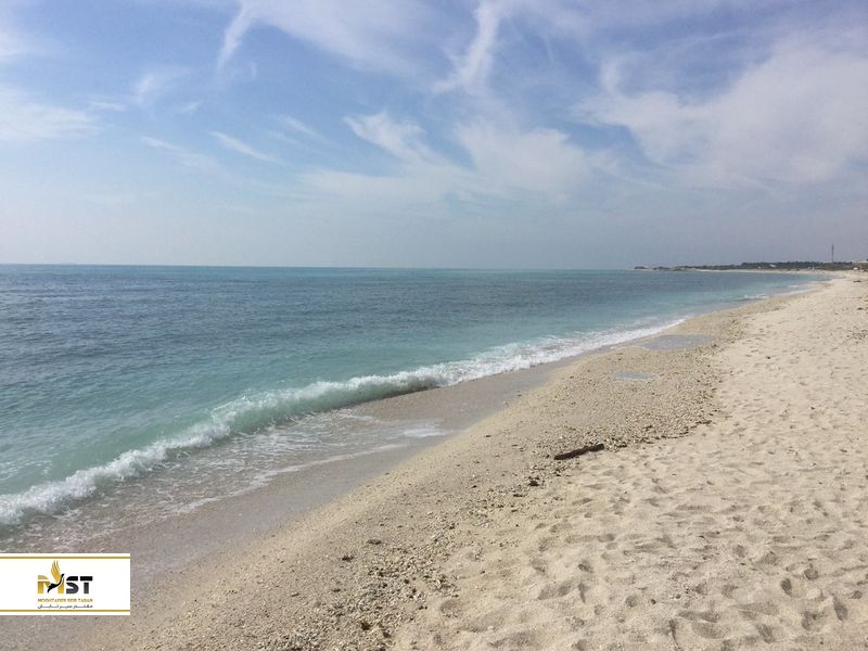 ساحل درختان نارگیل