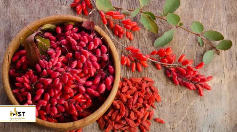 سوغاتی مشهور خراسان