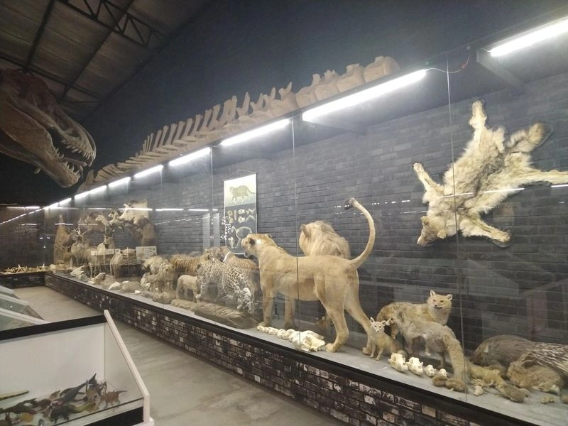 علاوه&zwnj;بر قسمت آناتومی در این سفر علمی خانوادگی، بخش&zwnj;های دیگری مثل شبیه&zwnj;ساز زلزله، بازی&zwnj;های فکری، آزمایشگاه کودکان و کارگاه&zwnj;های متنوع هم تعبیه شده که هر کدام از آن&zwnj;ها می&zwnj;تواند برای کودکان جذاب و چالش&zwnj;برانگیز باشد.