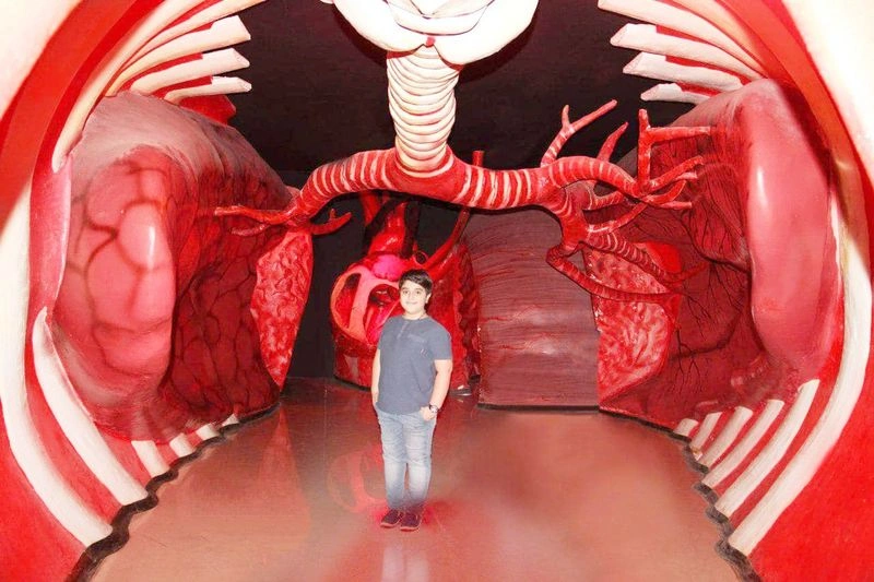 بخش&zwnj;های مختلف پارک علمی پروفسور بازی ما