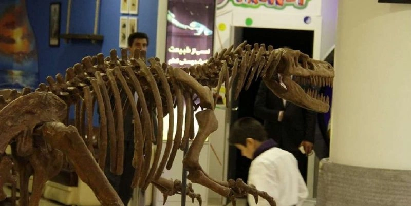 &nbsp;یکی دیگر از بخش&zwnj;های جذاب در این پارک علمی مشهد، مربوط به زمین&zwnj;شناسی و دنیای رازآلود دایناسورها است. با رفتن به این قسمت حس خواهید کرد که به میلیون&zwnj;ها سال پیش سفر کرده&zwnj;اید. کودکان در این بخش فرصت آشنا شدن با مفاهیم اولیه زمین&zwnj;شناسی، لایه&zwnj;های زمین، سنگ&zwnj;ها و نحوه تشکیل آن&zwnj;ها را خواهند داشت.