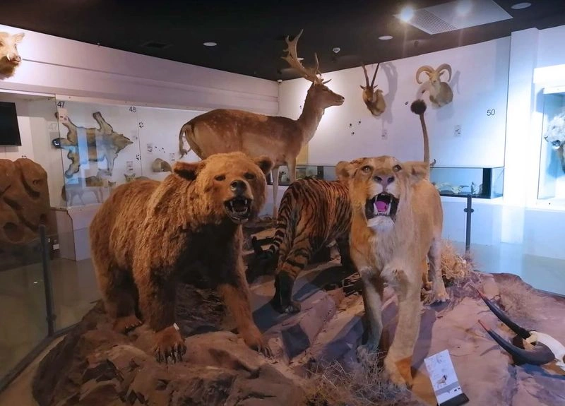 اگر کودکتان به دنیای حیوانات علاقه&zwnj;مند است، بازدید از این بخش برای او جذاب و سرگرم&zwnj;کننده خواهد بود. اصلی&zwnj;ترین هدف آموزشی در این قسمت معرفی تنوع جانوری و زیستگاه&zwnj;ها به کودکان و اهمیت حفاظت از محیط زیست به آن&zwnj;ها است.