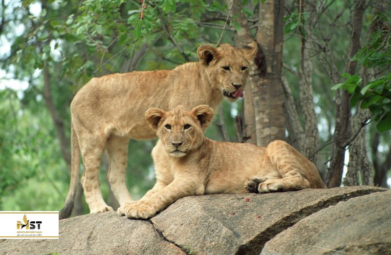 وکیل آباد مشهد