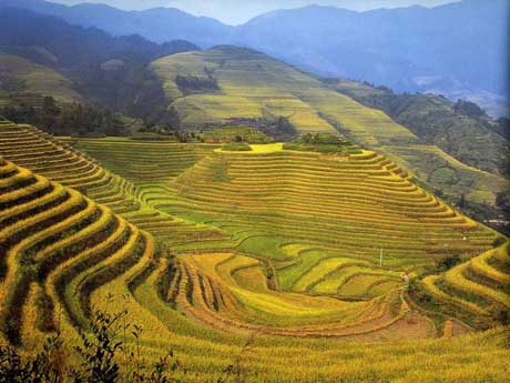 آثار باستانی چین,مقتدر سیر تابان,تور چین 