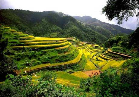 آثار باستانی چین,مقتدر سیر تابان,تور چین 