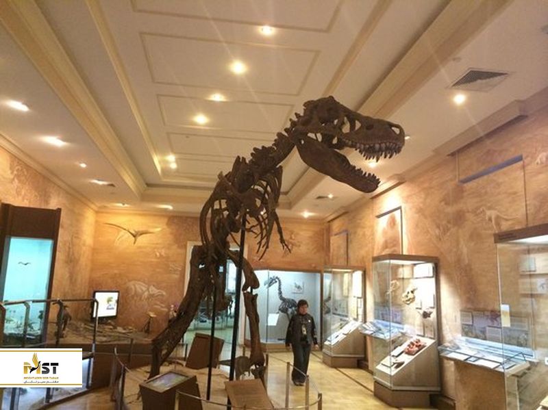  موزه هرمیتاژ