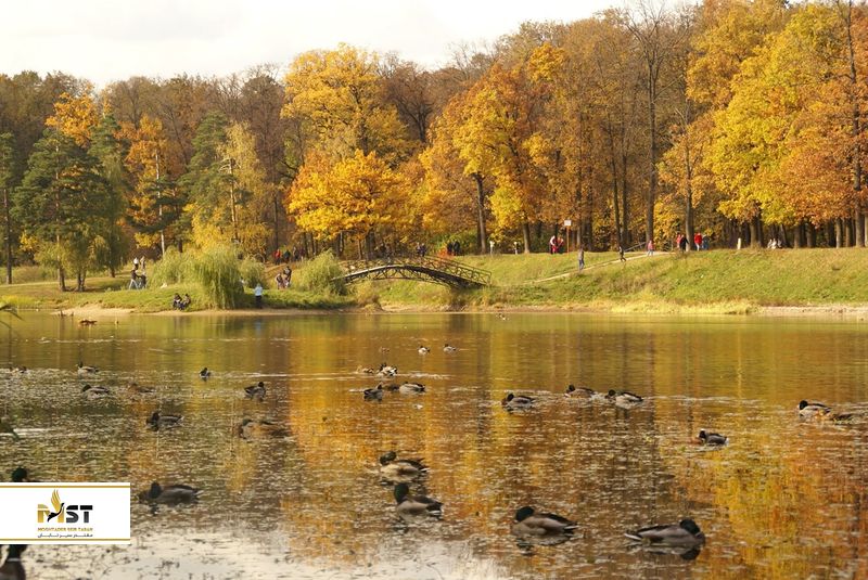 پارک ملی لوسینی اوستروف