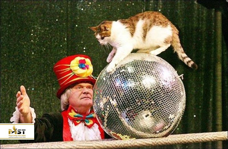 تئاتر گربه مسکو