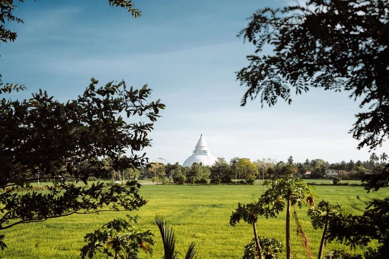 اواسط آذر تا اواسط فروردین به خاطر شرایط آب&zwnj;وهوای مطبوع و خشک. از ماه&zwnj;های اردیبهشت تا شهریور بارندگی در این منطقه شروع شده و مسافران فرصت مناسب برای سافاری و گشت&zwnj;وگذار در پارک ملی یالا را نخواهند داشت.