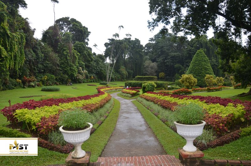 باغ گیاه شناسی کندی
