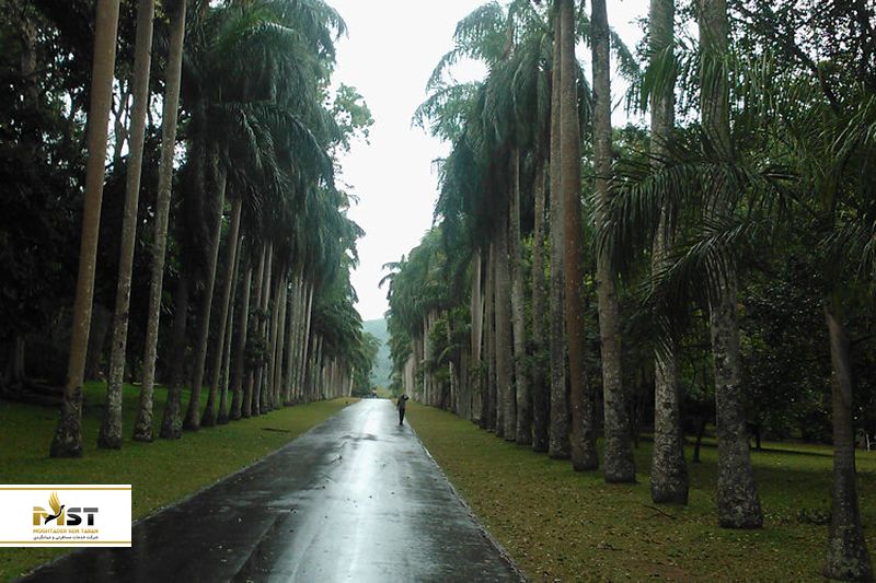 باغ گیاه شناسی کندی