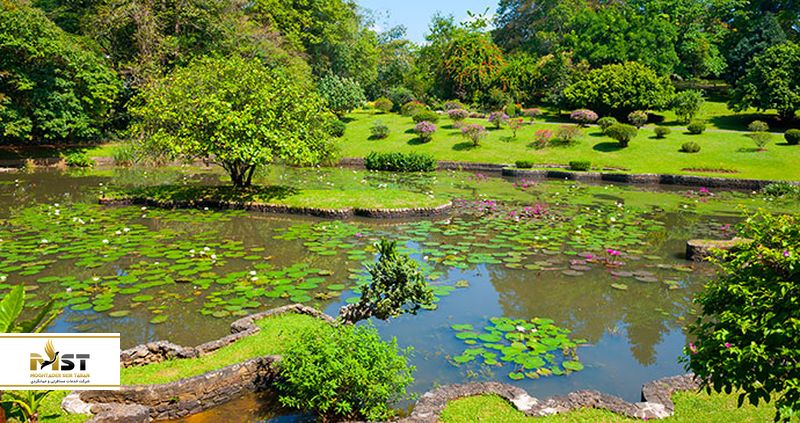 باغ گیاه شناسی کندی