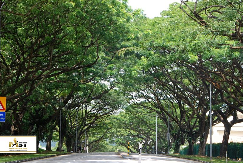 باغ&zwnj;های زیبای سنگاپور