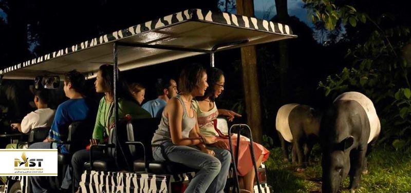 تفریحات شبانه در سنگاپور