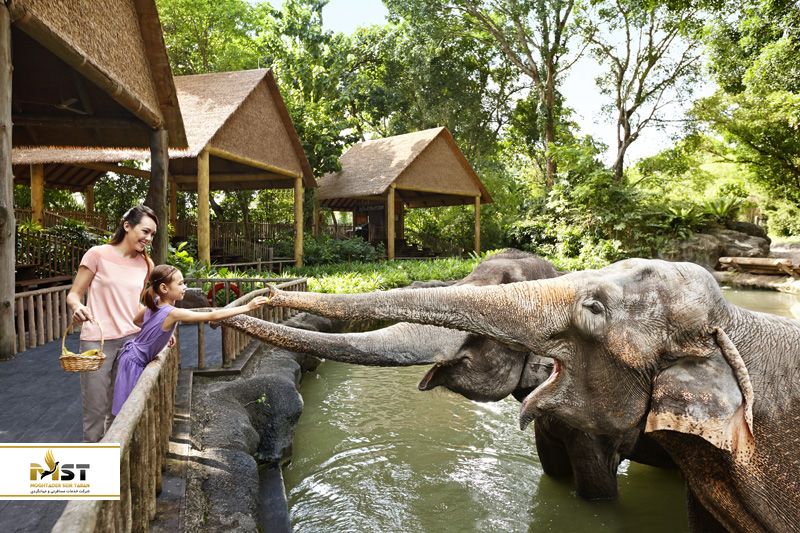 باغ وحش سنگاپور