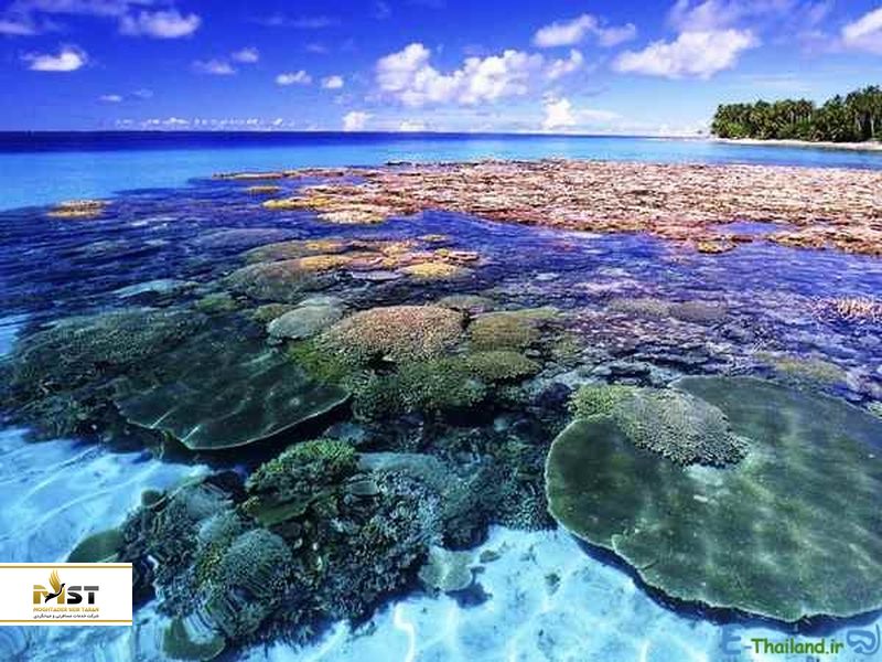 سواحل پاتایا