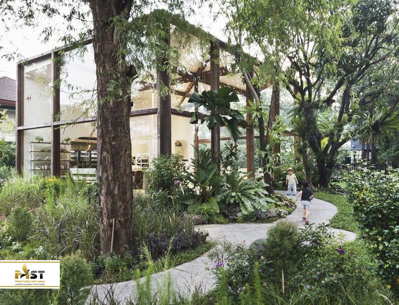 Patom Organic Living