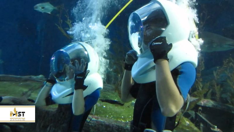 دنیای اقیانوس