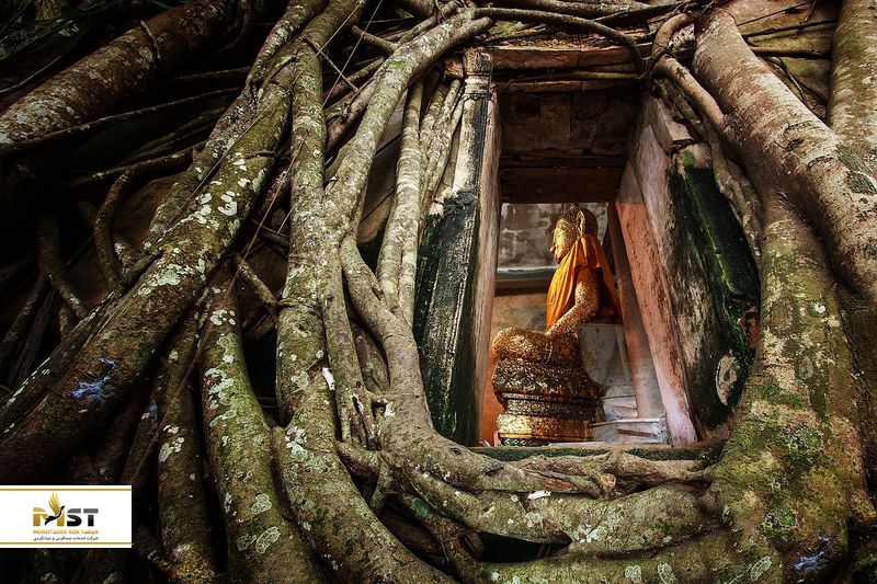 بازار شناور آمپاوا