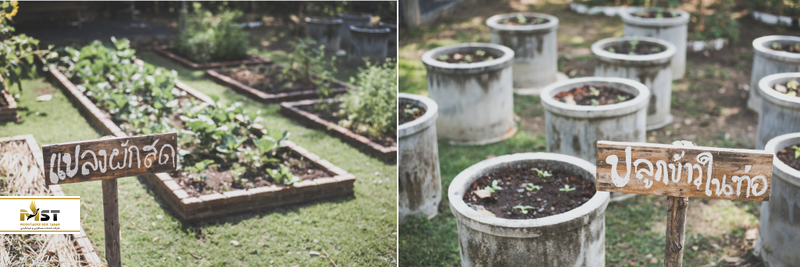 فعالیت&zwnj;های خلاقانه